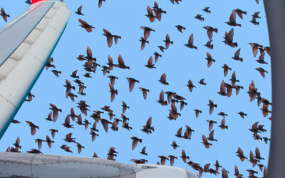 LA Civil Aviation Authority All’aeroporto catullo di verona per vedere il nuovo sistema di sicurezza del volo BCMS® Ventur 