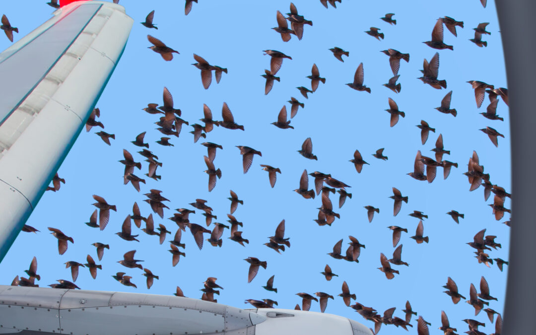 CIVIL AVIATION AUTHORITY AT VERONA CATULLO AIRPORT TO SEE BCMS® VENTUR FLIGHT SAFETY SYSTEM