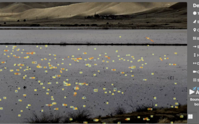 When Complexity Meets Clarity: Multi-Object Detection Across Water with BCMS Ventur.
